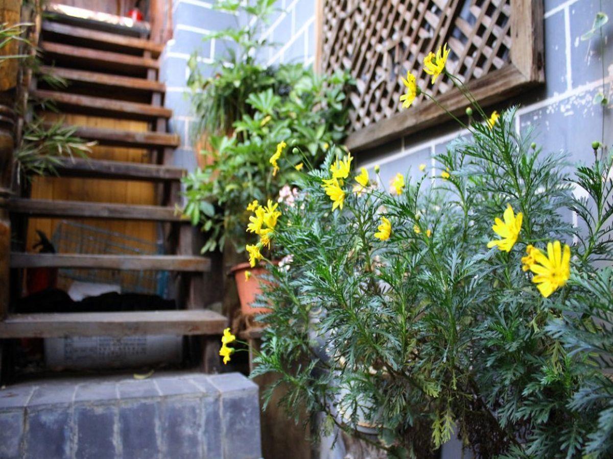 Rongludi Inn Lijiang  Exterior photo